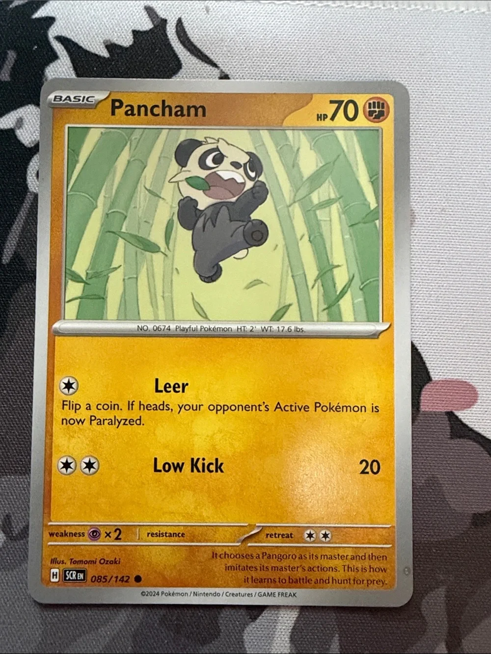 Pancham & Pangoro Evolution Lot | 6 Pokémon Cards | ✨5/$25✨